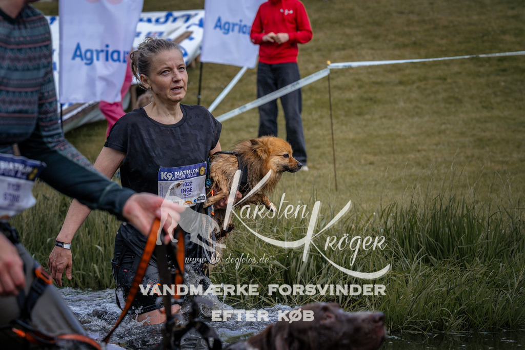 _ZZ909430910 | kk-dogfotos