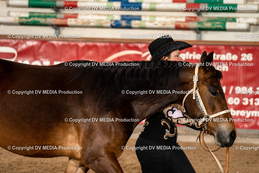 Heiligenwald Tag 1-132 | dv-media-shop - Realisiert mit Pictrs.com