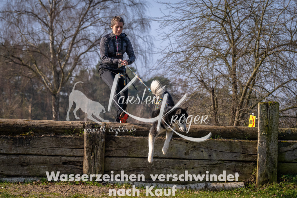 _ZZ93062 | kk-dogfotos