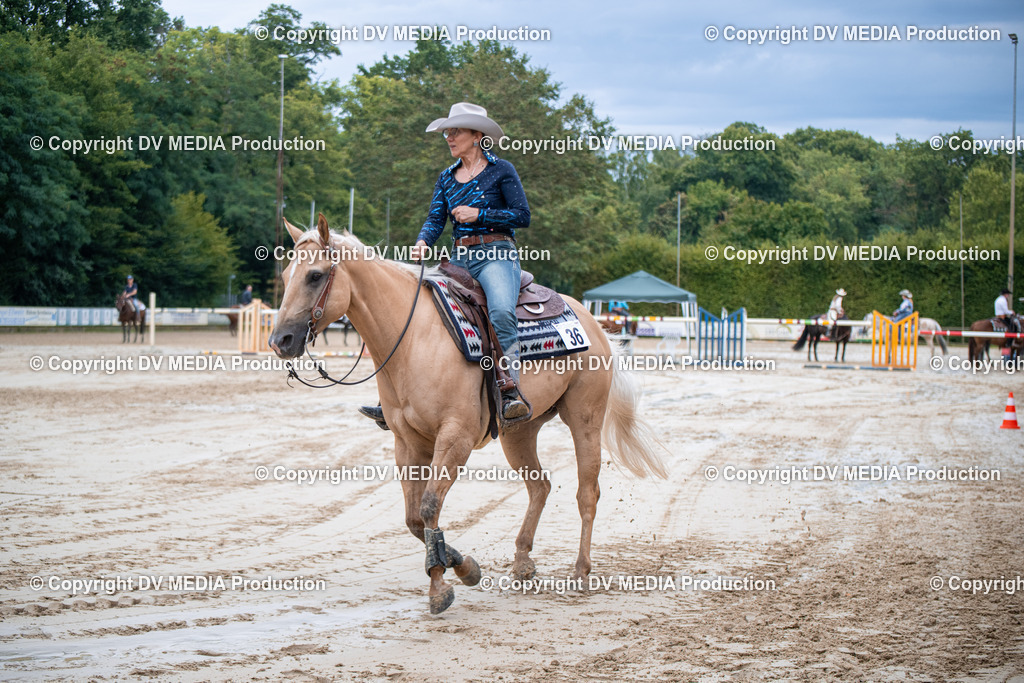 ZS2_4343 | dv-media-shop - Realisiert mit Pictrs.com