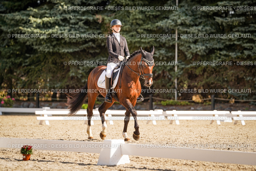 DSC00470 | Pferdegrafie