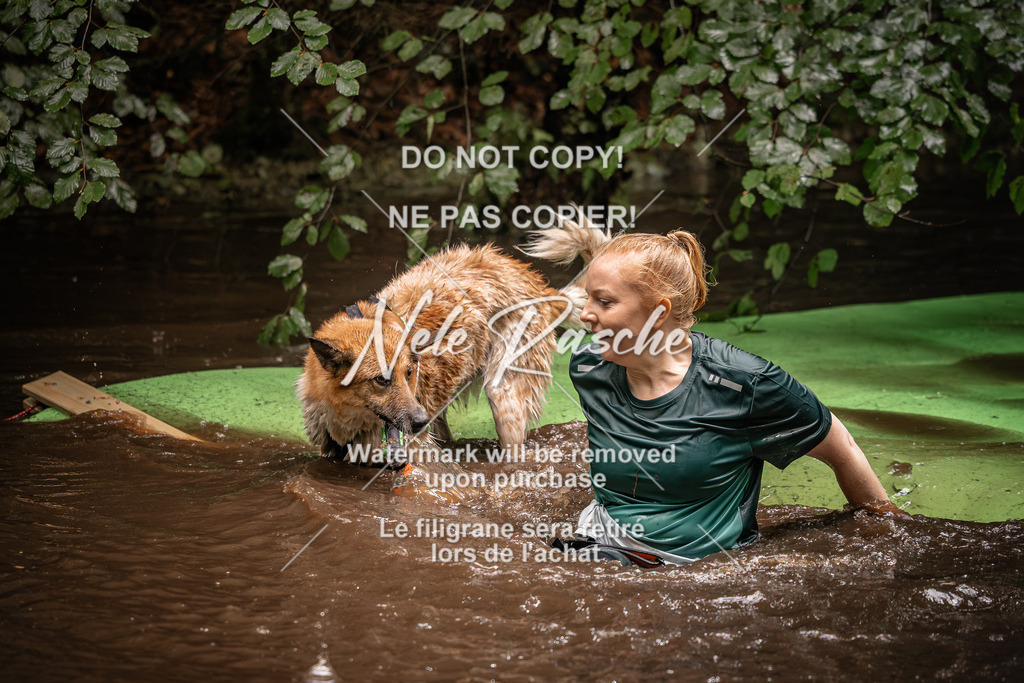 nelerasche_Wingst_Sa1330-1400_380 | nelerasche