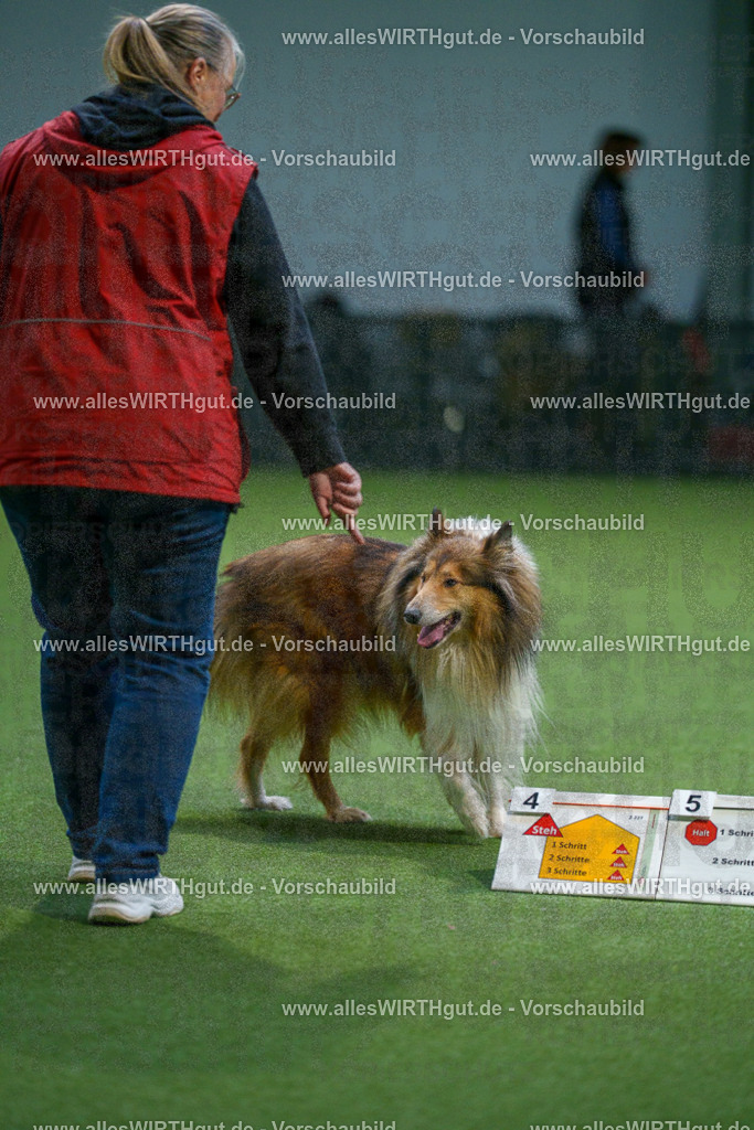 7R500421 | Professionelle Tierfotografie in Mönchengladbach von Daniel Wirth (allesWIRTHgut). Liebevolle & natürliche Bilder von Hunden & Katzen für unvergessliche Erinnerungen.