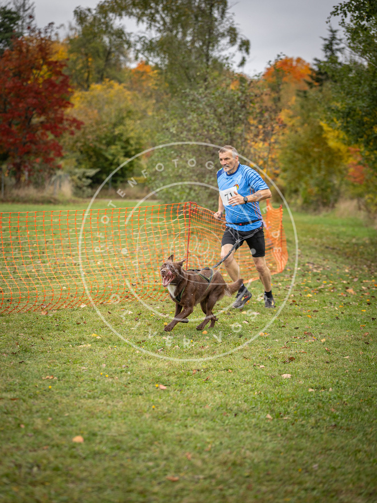 Pfotenfotografie_DV3A2856 | Hundefotografie, Tierfotograf, Pfotenfotografie, Fotoshooting Hund, Hunde Portrait, Hundesport, Hundeportraits, Heideshooting, Hunde, Sportfotograf, Hundefotograf, Turnierhundsport, THS,  - Realisiert mit Pictrs.com
