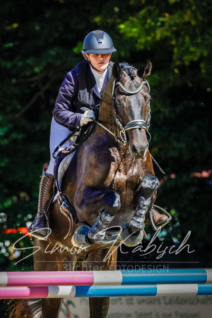 20250906-_3LI3928 | Tierfotografie Pferde, Hunde, Katzen, Haustiere.
Turnierfotografie Reitturniere, Reiten, Springreiten, Dressur in Hanau, dem Main-Kinzig-Kreis und dem Rhein-Main- Gebiet um Frankfurt