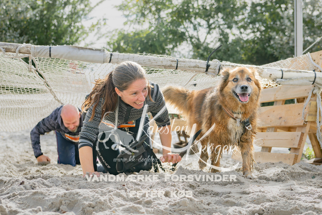 1306_ZZ95002 | kk-dogfotos