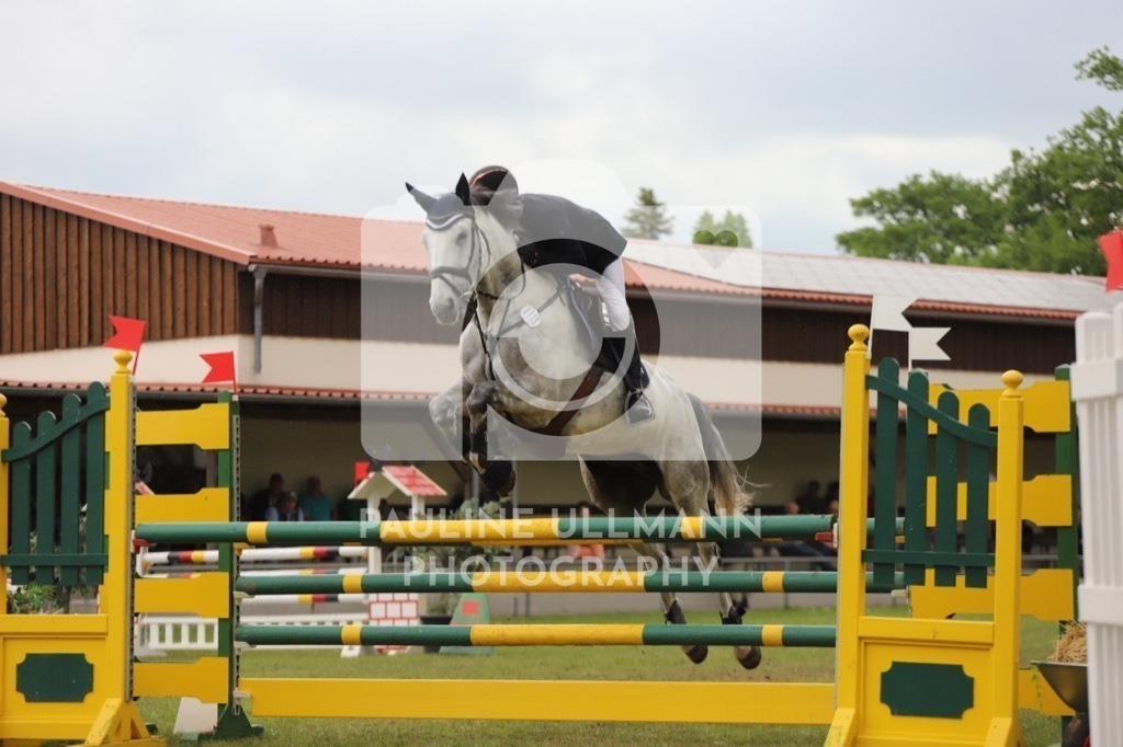 IMG_8322 | Pauline Ullmann Photography - Realisiert mit Pictrs.com