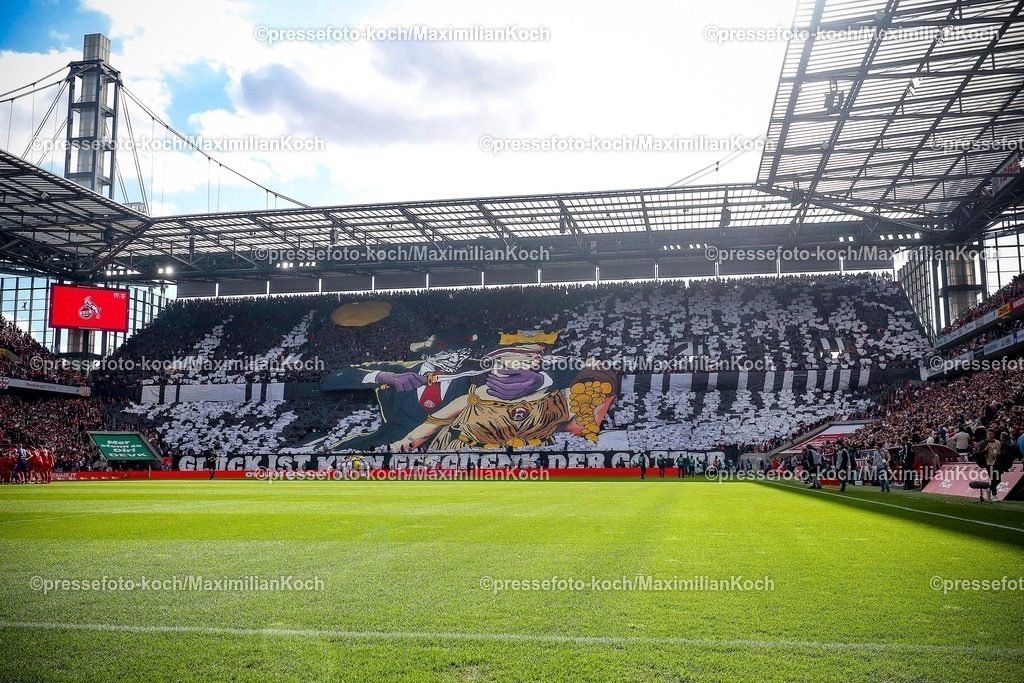 1FC23022502116 | 23.02.2025, Fußball, 1. FC Köln - Fortuna Düsseldorf, 2.. Fußball Bundesliga, 23. Spieltag, RheinEnergie-STADION, Saison 2024 2025: Choreo in der Südkurve.  Die FC-Fans zeigten eine umstrittene Choreografie mit einem Messer. Schriftzug Glück ist kein Geschenk der GötterDFB regulations prohibit any use of photographs as image sequences and or quasi-video.