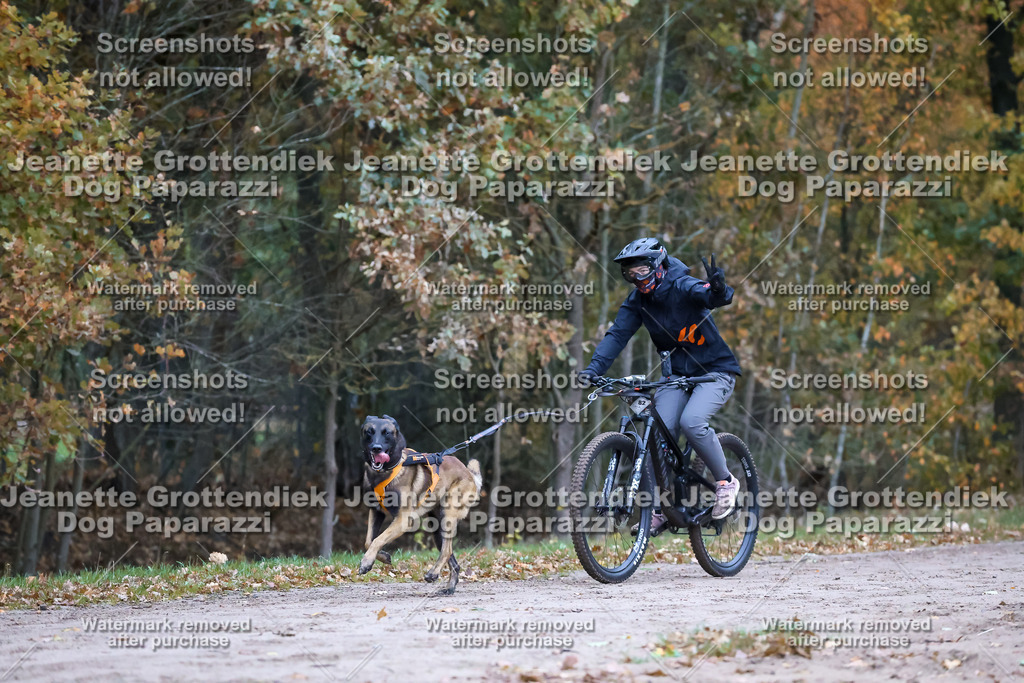 Dog Paparazzi - SD CaniX Championship 2025-42 | Dog Paparazzi Jeanette Grottendiek Fotografie & Videografie - Realisiert mit Pictrs.com