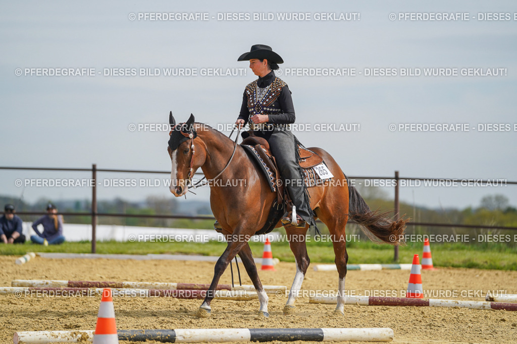 DSC03965 | Pferdegrafie