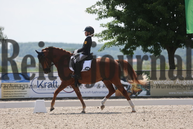 Rot am See_2024_Prfg.Nr.21_Qual.BCH_und_LCH_5-jähr.Ponys_Mary-Ann Hollenbach_Dein Traum (9) | Alle Fotos der Reiterjournal Fotografin Doris Matthaes im Reiterjournal Online-Fotoshop. - Realisiert mit Pictrs.com