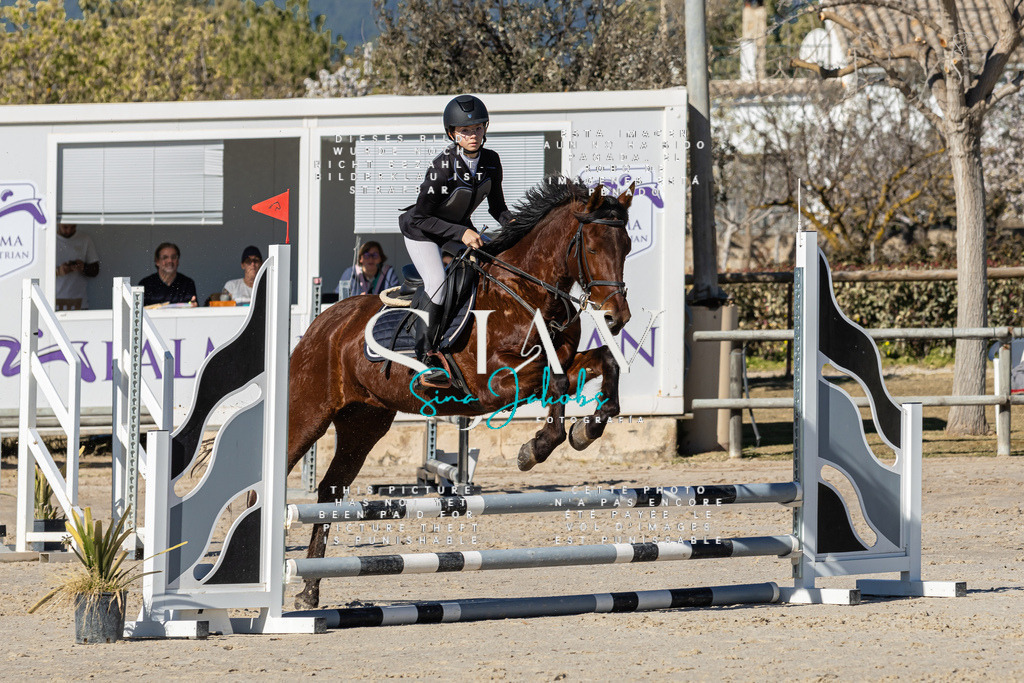 IMG_8479 | s-jay-photography - Realisiert mit Pictrs.com