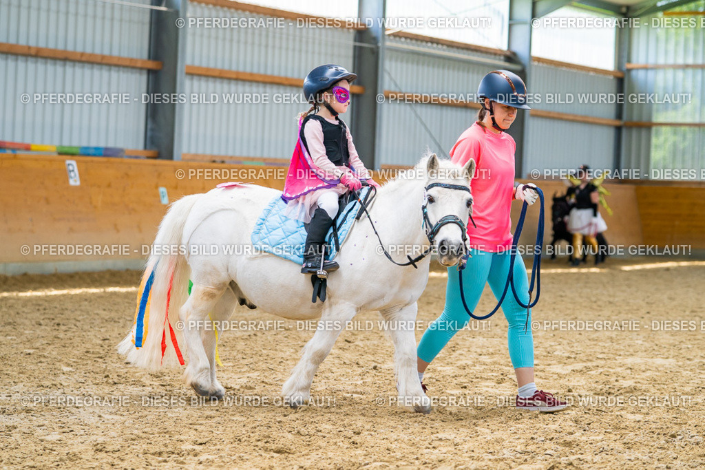 DSC09814 | Pferdegrafie