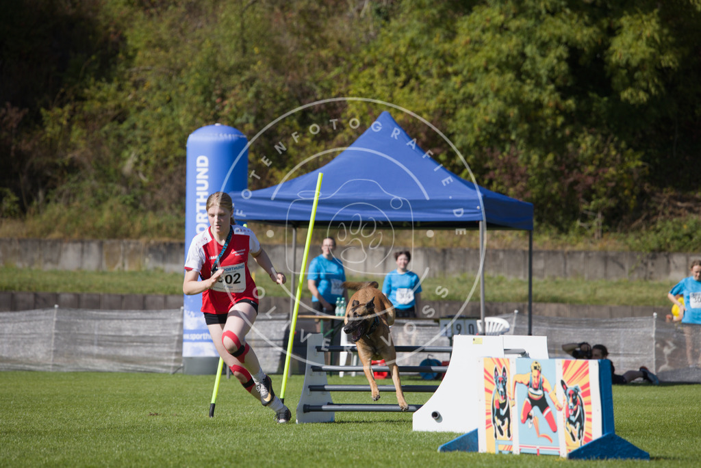 0L8A7556 | Hundefotografie, Tierfotograf, Pfotenfotografie, Fotoshooting Hund, Hunde Portrait, Hundesport, Hundeportraits, Heideshooting, Hunde, Sportfotograf, Hundefotograf, Turnierhundsport, THS,  - Realisiert mit Pictrs.com