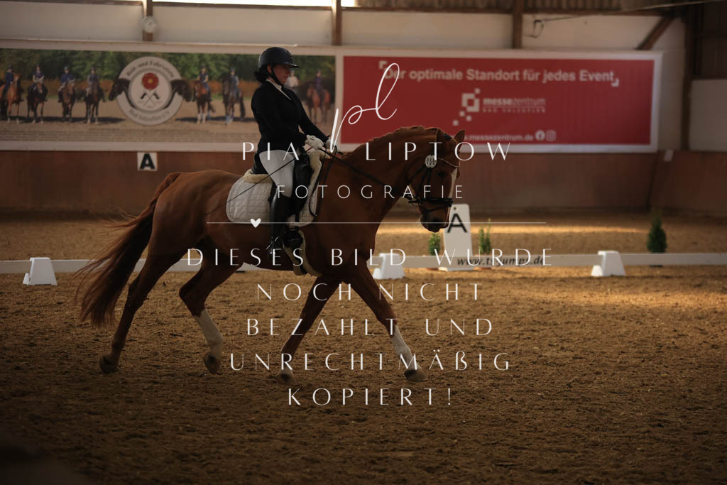 IMGT8075 | pl-fotografie