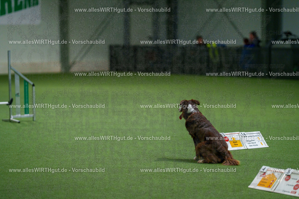 7R500088 | Professionelle Tierfotografie in Mönchengladbach von Daniel Wirth (allesWIRTHgut). Liebevolle & natürliche Bilder von Hunden & Katzen für unvergessliche Erinnerungen.