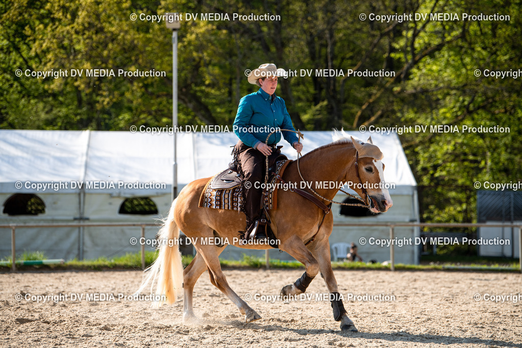 Heiligenwald Tag 1-0970 | dv-media-shop - Realisiert mit Pictrs.com