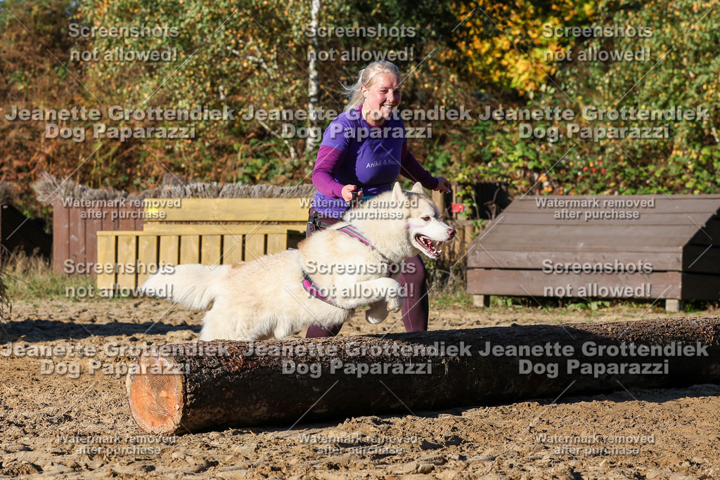 Dog Paparazzi - Strongdog 10-25-1585 | Dog Paparazzi Jeanette Grottendiek Fotografie & Videografie - Realisiert mit Pictrs.com