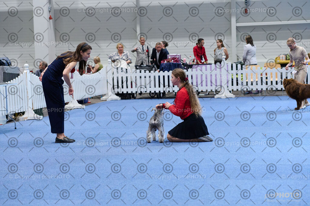 202406_ÖKV-IHA-Tulln24_DSC_4728 | proPHOTO - Realisiert mit Pictrs.com