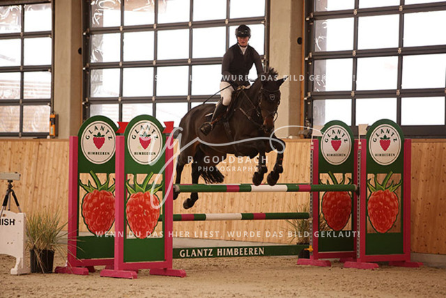 1J2A4613Susan Nörenberg_ Adagio B 3_ Kn003_ Hohen Wieschendorf_ Glantz | Foto- und Videografie für alles rund ums Pferd. Hochwertige Bilder und Videos vom Spring- und Dressurreiten, Voltigieren & mehr. Jetzt aktuelle Veranstaltungen und Preise im Shop ansehen. - Realisiert mit Pictrs.com