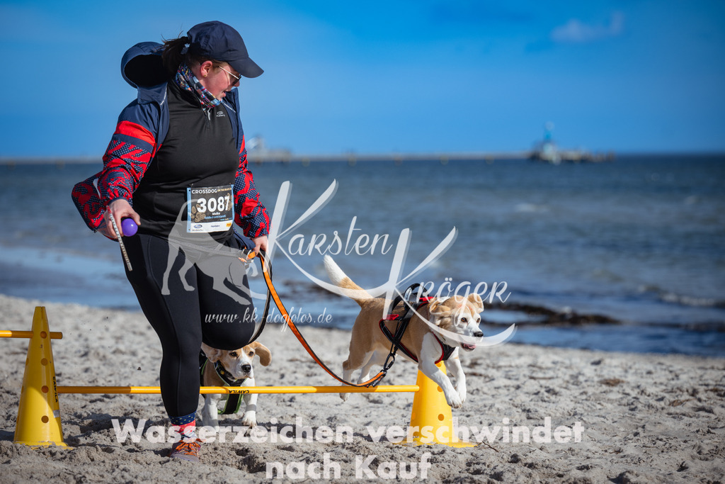 1332_ZZ91830 | kk-dogfotos