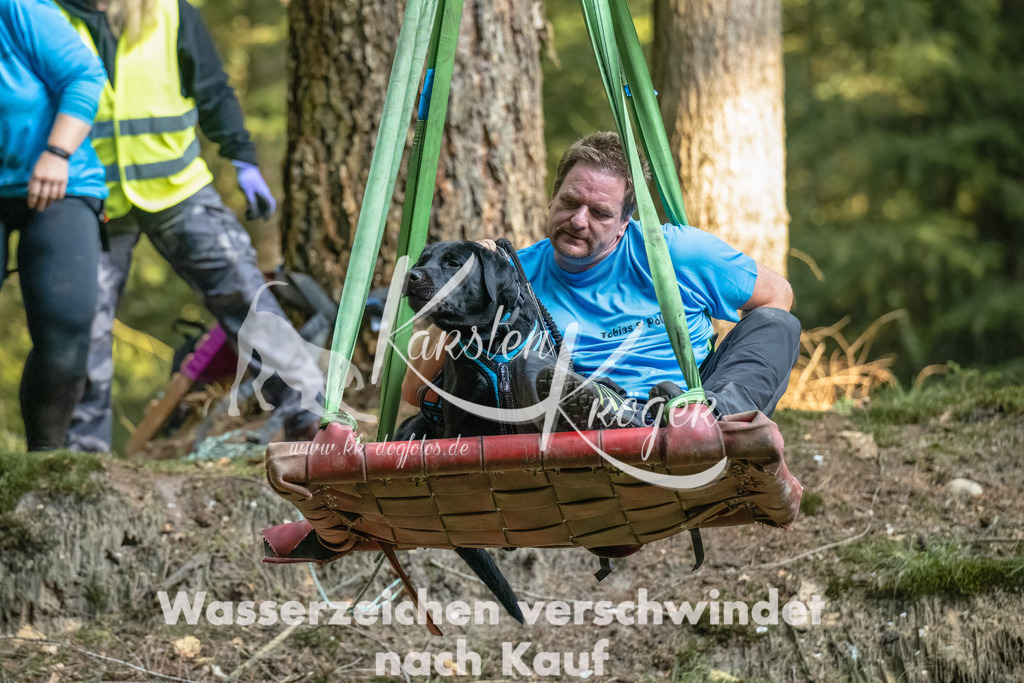 0929_ZZ91014-Bearbeitet | kk-dogfotos