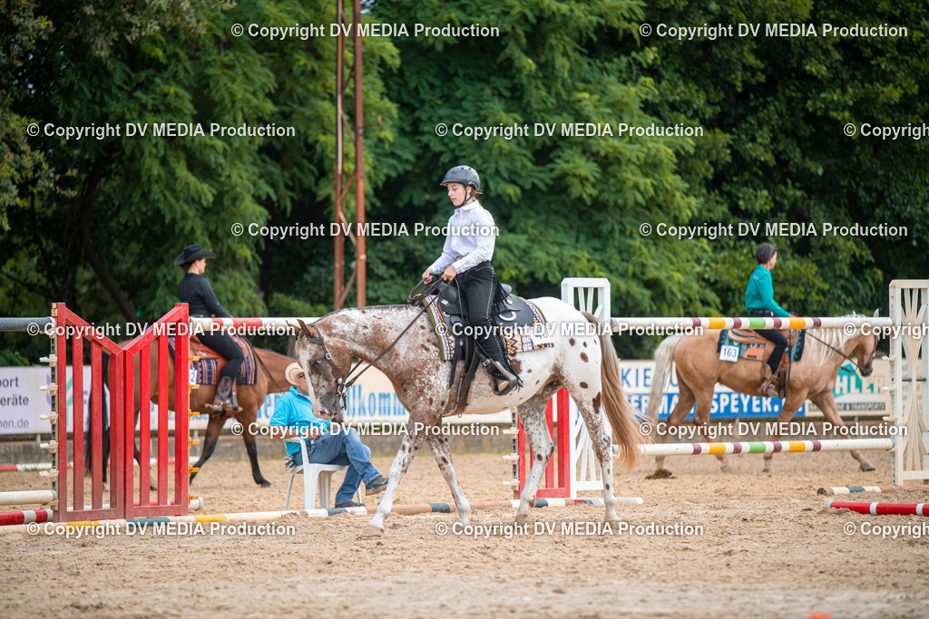 ZS2_7580 | dv-media-shop - Realisiert mit Pictrs.com