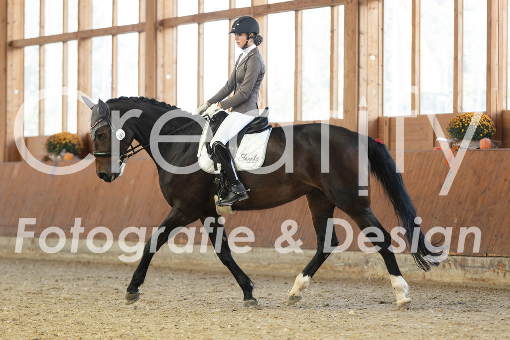 IMG_4771 | Creatify Fotografie