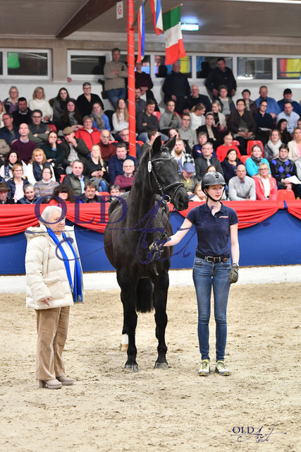 130 Czardasfuerstin DSC_0069 | <meta name="description" content="★Offizieller Merchandise und Foto-/Videostore des Oldenburger Verbandes.★ ✅Jetzt auch digital Ausdrucke erhältlich." />
<meta name="keywords" content="Merchandise Foto-/Videostore Oldenburger Verband Photographie 