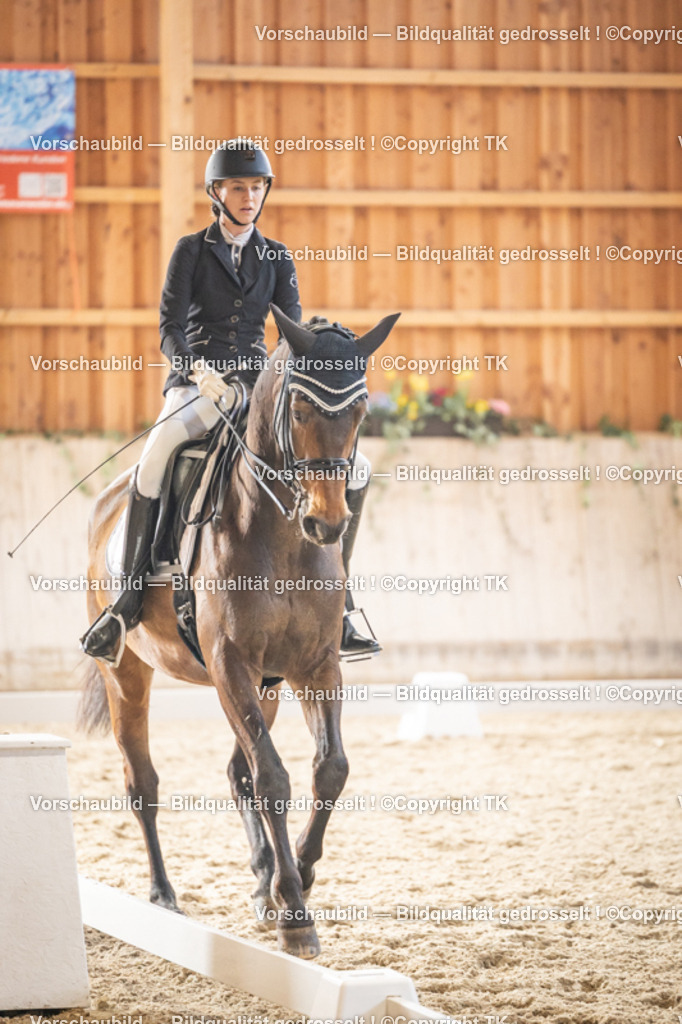 _D5A9316 | Emotionale Pferde- & People-Fotografie rund um Heidelberg, Leimen & Umgebung. Natürliche Fotos von Pferd, Mensch & Familie. Jetzt Termin sichern!