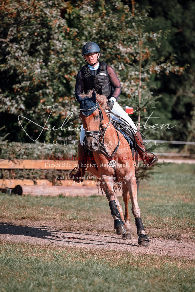 DSC_0802 | Pferde- und Turnierfotografie in Westsachsen. Pferdeportraits, Auftragszeichnungen und intuitive Kunst.