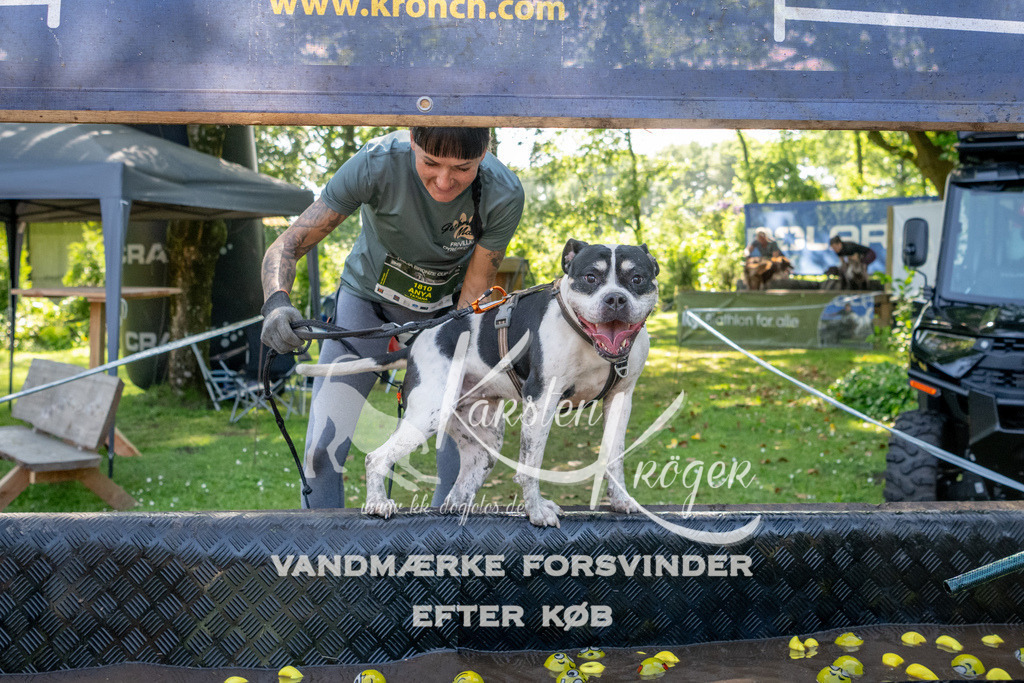 1541_ZZ92843 | kk-dogfotos