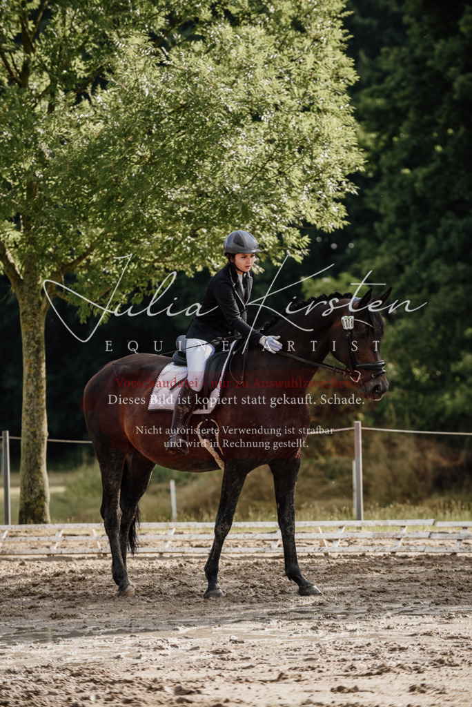 DSC_8687 | Pferde- und Turnierfotografie in Westsachsen. Pferdeportraits, Auftragszeichnungen und intuitive Kunst.