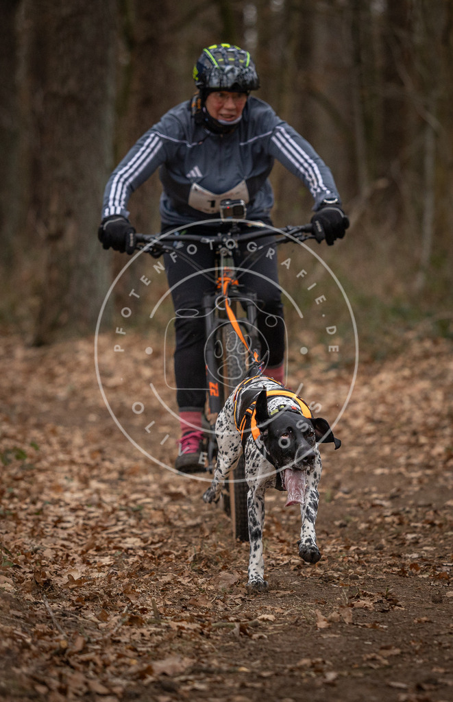Pfotenfotografie_DV3A7018 | Hundefotografie, Tierfotograf, Pfotenfotografie, Fotoshooting Hund, Hunde Portrait, Hundesport, Hundeportraits, Heideshooting, Hunde, Sportfotograf, Hundefotograf, Turnierhundsport, THS,  - Realisiert mit Pictrs.com