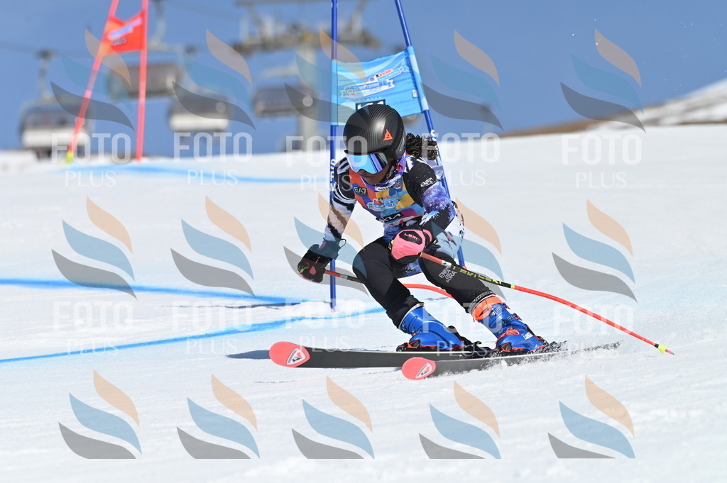 BGV_8611 | holidayphoto