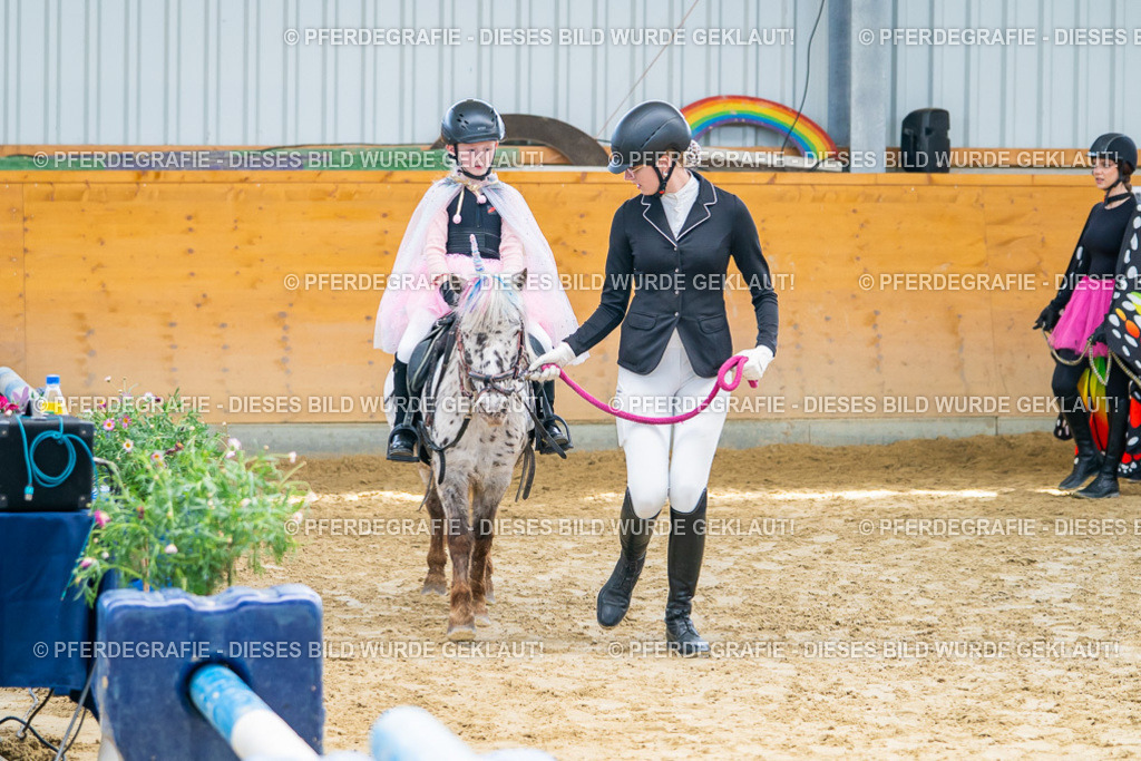 DSC00502 | Pferdegrafie