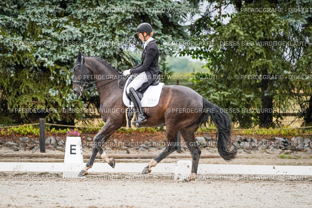 DSC08758 | Pferdegrafie