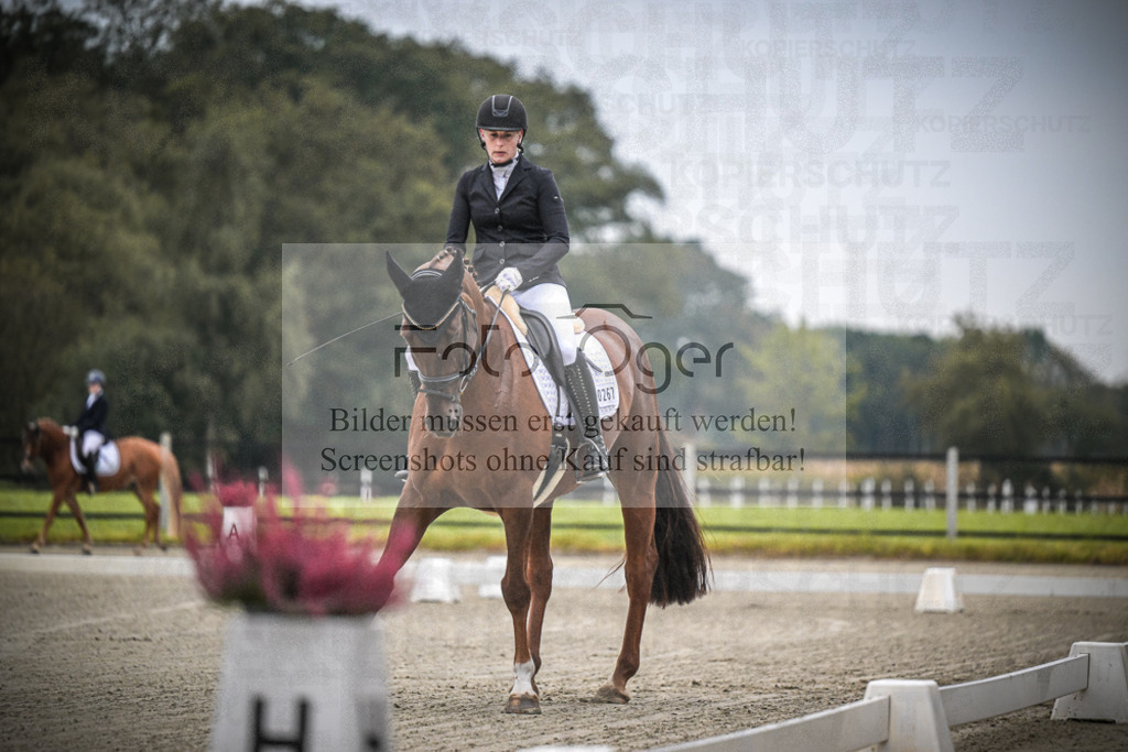 DOS_0114 | Entdecke hochwertige Reitturnierfotos von Foto Oger. Professionell, emotional und authentisch – jetzt Lieblingsmomente im Shop bestellen.Deutschlandweite Turnierfotografie. - Realisiert mit Pictrs.com