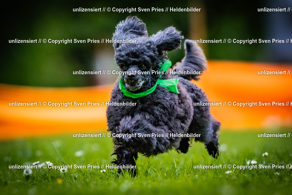 Sven Pries | 2025-05-29 - Pudelrennen KA-Durlach - Realisiert mit Pictrs.com