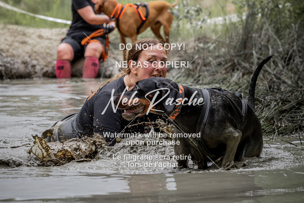 nelerasche_so1330-1400_507 | nelerasche