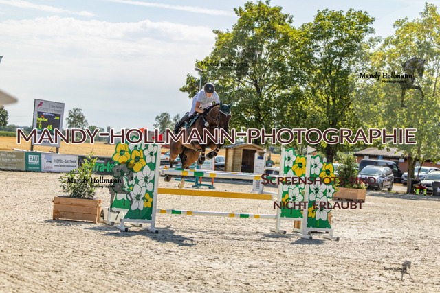 26-7-25 SPR M+-7 | mandyhollmannphotographie