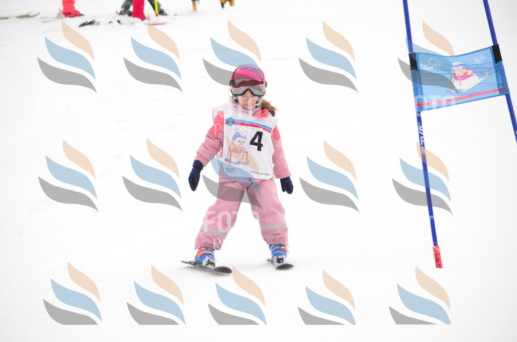 B9214 | holidayphoto