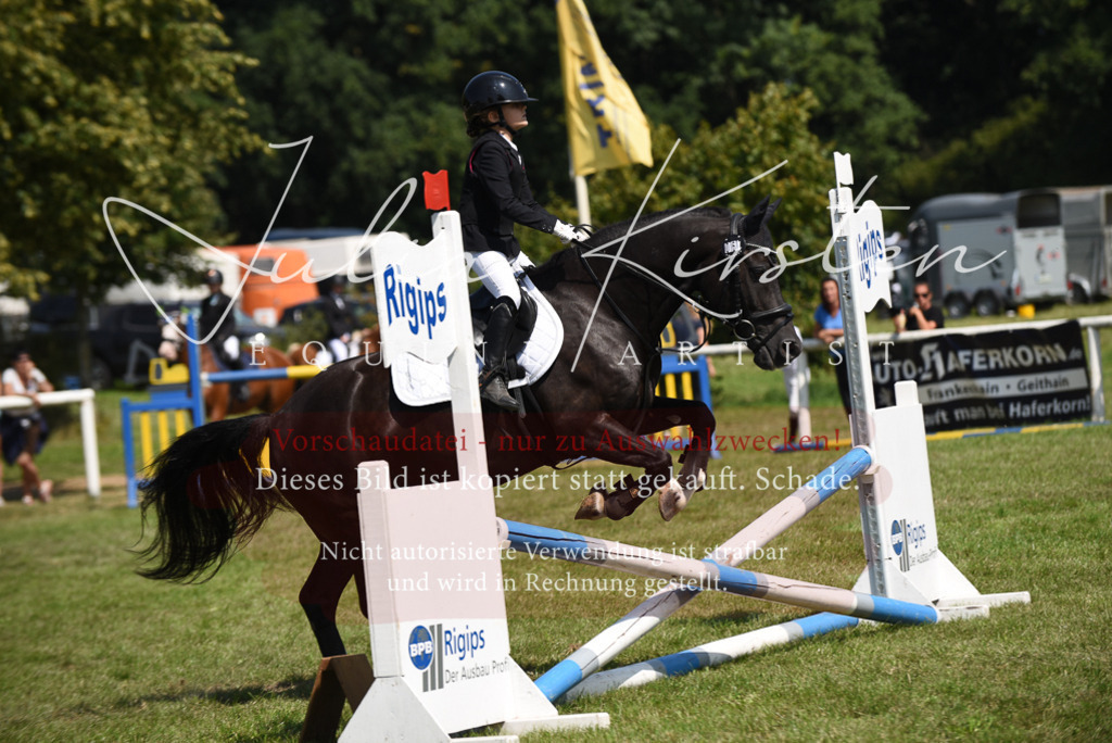 DSC_9983 | Pferde- und Turnierfotografie in Westsachsen. Pferdeportraits, Auftragszeichnungen und intuitive Kunst.