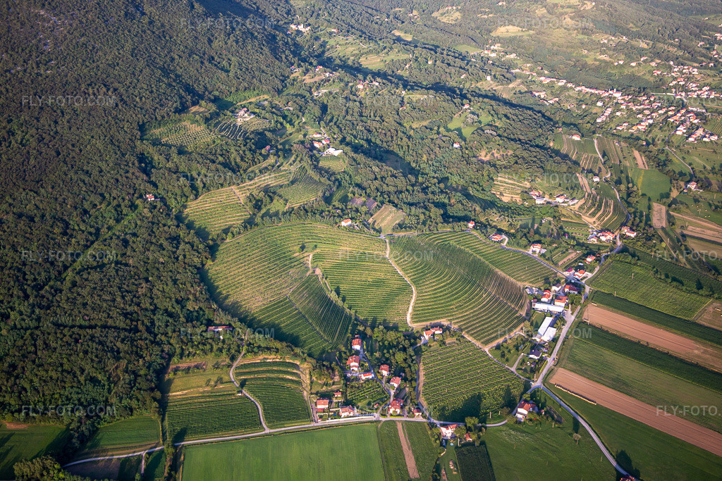 Aerial view: Vineyards in the district Kromberk in Nova Gorica in the state Slovenia, Slovenia. – Photo: IMG_137543.jpg taken on 07/14/2023 by Werner Riehm/FLY-FOTO.com – Resolution of the original: 5472 x 3648 px