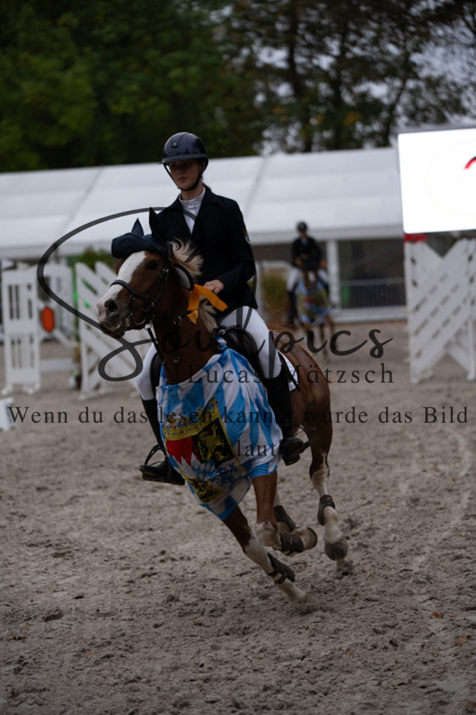 A7V00213 | Turnier/Reitfotograf