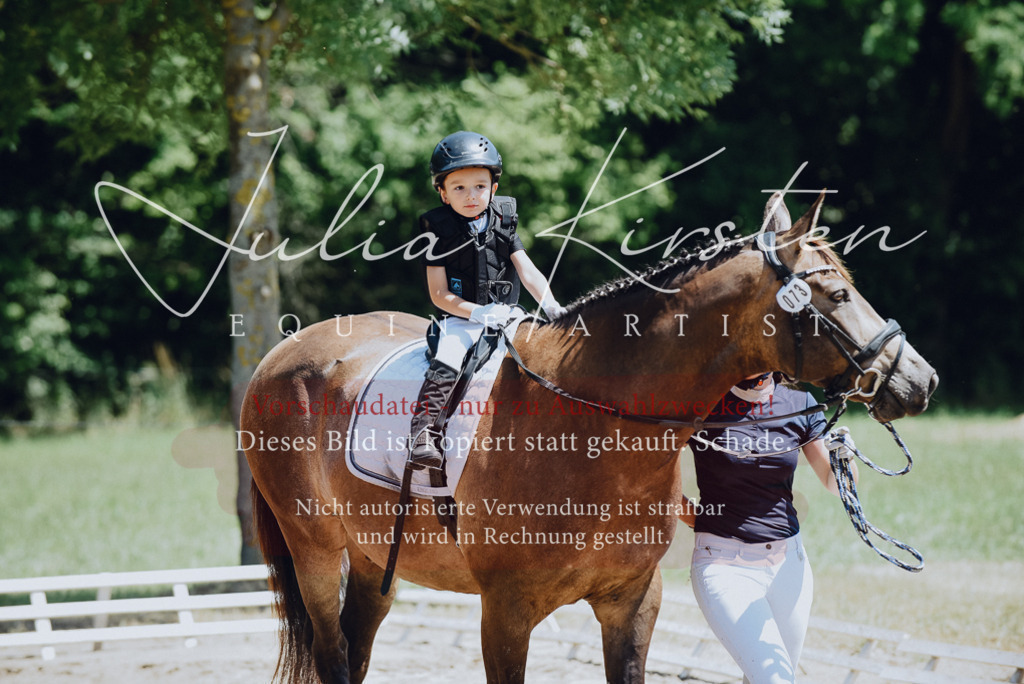 DSC_2632 | Pferde- und Turnierfotografie in Westsachsen. Pferdeportraits, Auftragszeichnungen und intuitive Kunst.