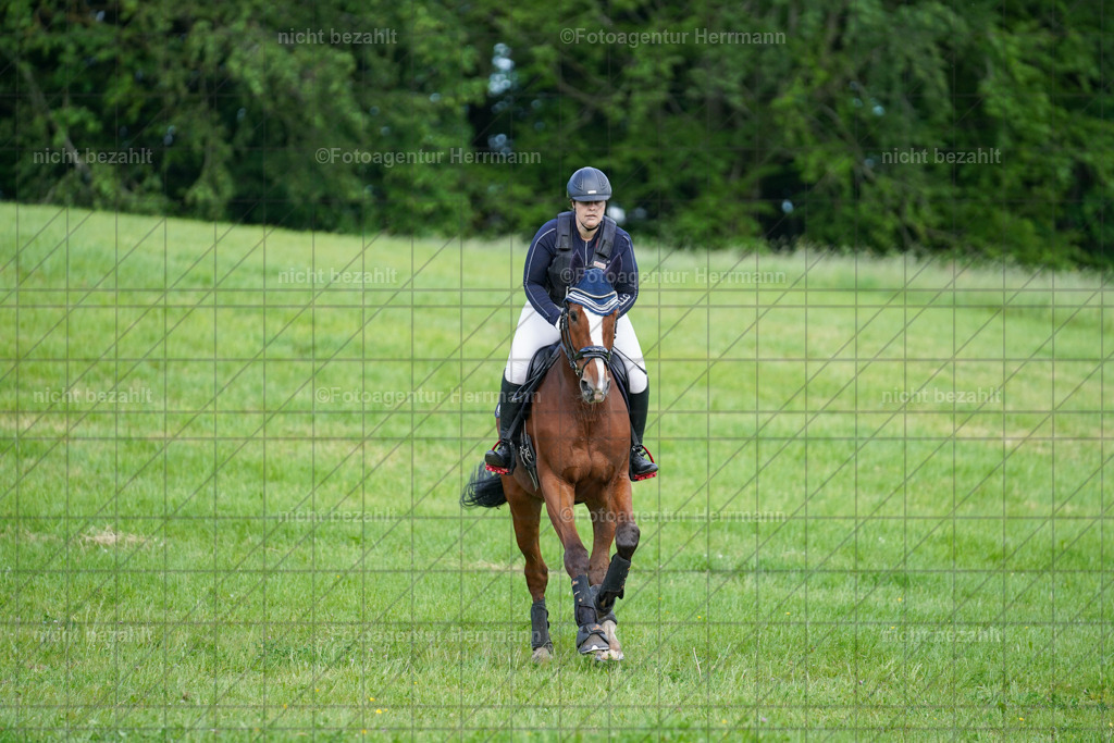 20240518-FAH04169 | Turnierbilder von Niederseon, Turnierfotografen Bayern, Fotoagentur Herrmann, Geländebilder, Reitsportfotografie