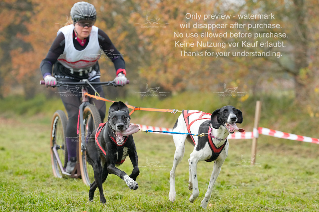 AusschnitteSa-196 | stephaniefillaphotographie - Realisiert mit Pictrs.com