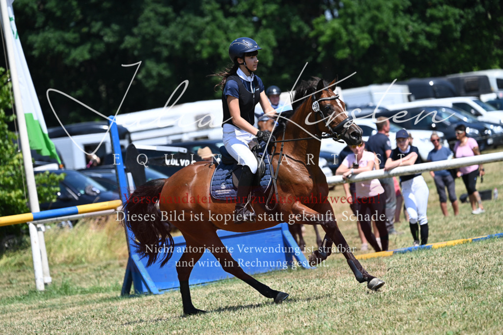 DSC_0820 | Pferde- und Turnierfotografie in Westsachsen. Pferdeportraits, Auftragszeichnungen und intuitive Kunst.