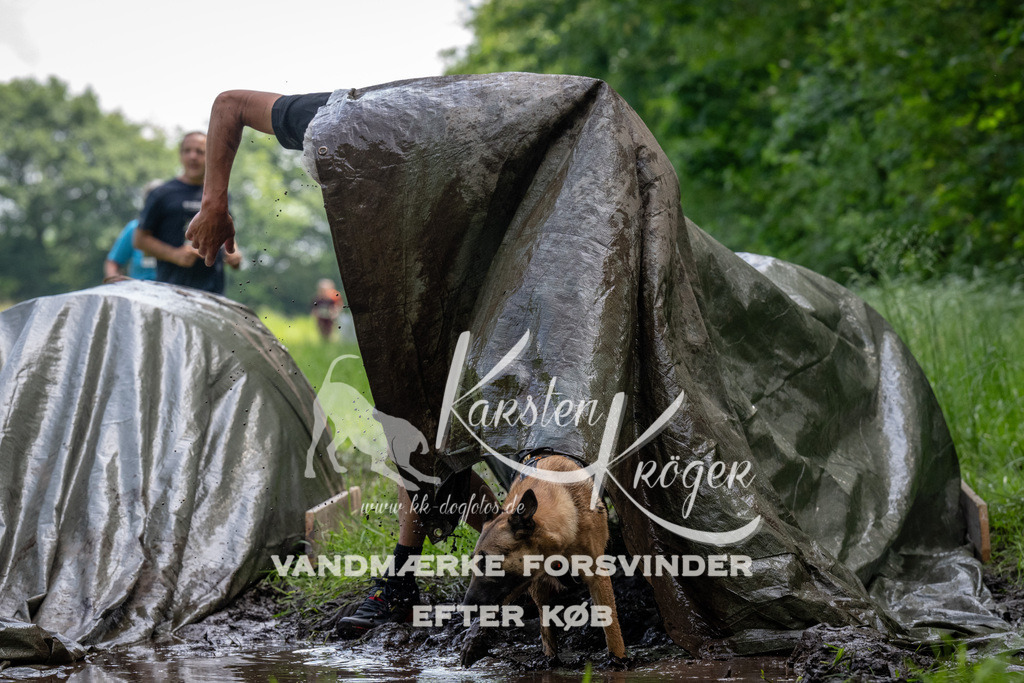 1140_ZZ93735 | kk-dogfotos